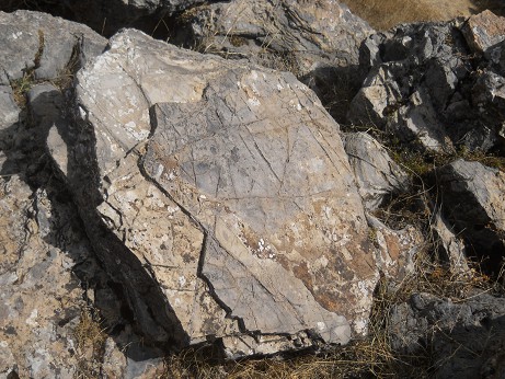 Area of the rock of stairs "Chinchana grande": big surfaces with engravings in lines - zoom