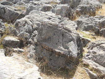 Area of the rock of stairs "Chinchana grande": white stone with engravings in lines