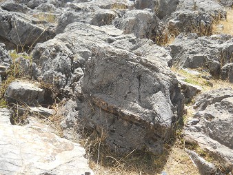 Bereich des Treppensteins "Chinchana grande": Weisser Stein mit Linienmustern