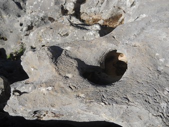 Cusco Sacsayhuam�n 10, campo ca�tico, la piedra ondulada con trono, cortes, y huecos - huecos y dise�os primer plano 1