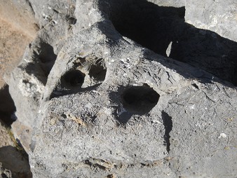 Cusco Sacsayhuam�n 10, campo ca�tico, la piedra ondulada con trono, cortes, y huecos - huecos y dise�os primer plano 2