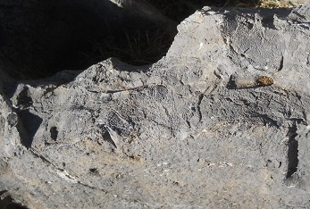 Cusco Sacsayhuam�n 10, campo ca�tico, piedras fundidas con dise�o grabado 01, primer plano