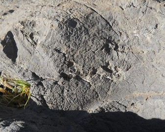 Cusco Sacsayhuam�n 10, campo ca�tico, piedras fundidas con dise�o grabado 03, primer plano