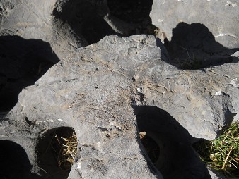 Cusco Sacsayhuam�n 10, campo ca�tico, piedras fundidas con dise�o grabado 05