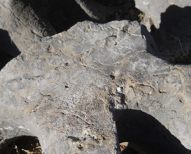 Cusco Sacsayhuam�n 10, campo ca�tico, piedras fundidas con dise�o grabado 05, primer plano