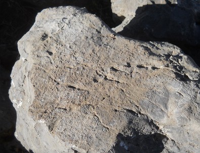 Cusco Sacsayhuam�n 10, campo ca�tico, piedras fundidas, un superficie - primer plano