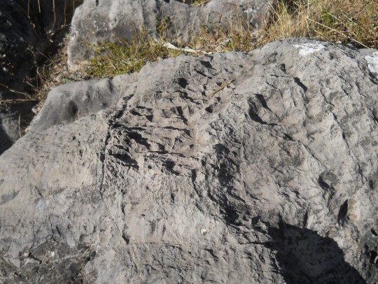 Cusco Sacsayhuam�n: Das Amphitheater, gefr�ste Steine 02
