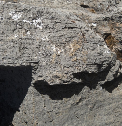 Cusco Sacsayhuam�n: amphitheater, milled stone 04 with a border