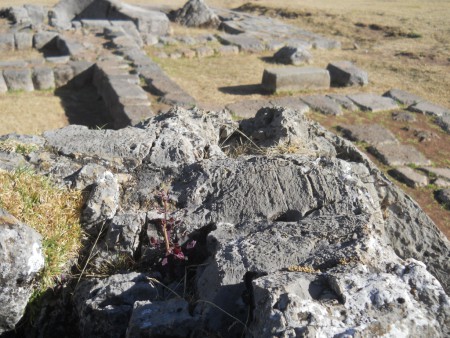 Cusco Sacsayhuam�n: in the amphitheater, milled stone 02