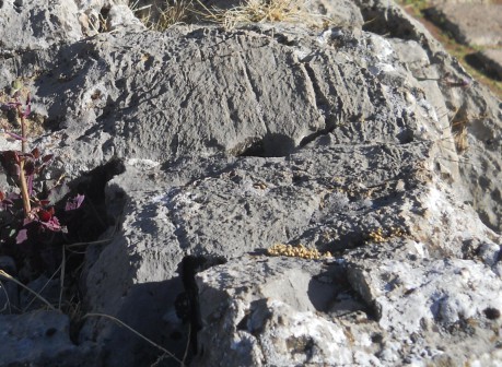 Cusco Sacsayhuam�n: in the amphitheater, milled stone 02 - zoom