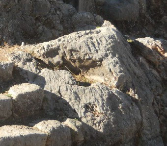 Cusco Sacsayhuam�n, amphitheater: one more throne zone: big stairs and cut stones - engravings, zoom
