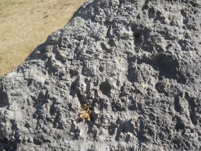 Cusco Sacsayhuam�n, amphitheater: milled stone with a throne on the meadow 01, zooms of the surface 02