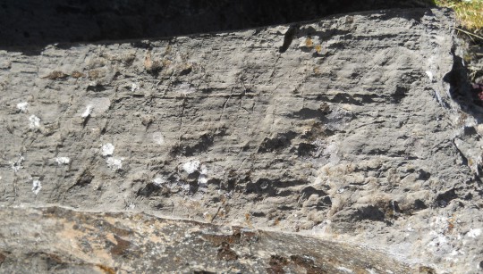 Cusco Sacsayhuam�n: Das Amphitheater, gefr�ster Stein 05