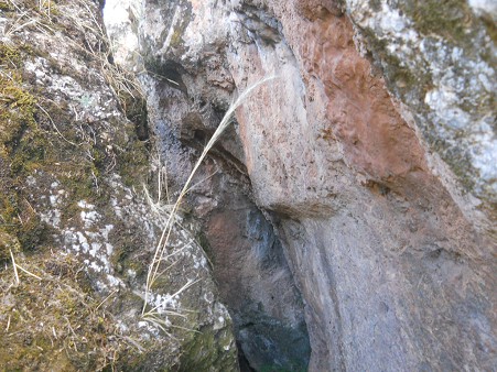 Cusco Sacsayhuam�n, final zone with black and red rock, the margins of straight cuts in the crack in red and white