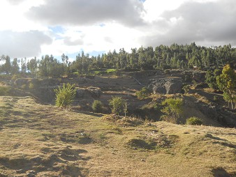 Cusco Sacsayhuamn, noch mehr Rtsel: Wiesen und Walds 01