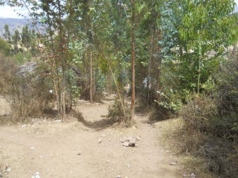 Cusco Sacsayhuam�n 13, the walk to "Zone X" (Laco, Moon Temple), walk in the forest 06