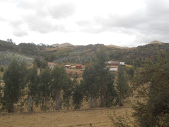 Cusco Sacsayhuam�n 13, the walk to "Zone X" (Laco, Moon Temple), farm in the forest