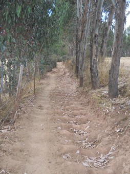 Cusco Sacsayhuam�n 13, the walk to "Zone X" (Laco, Moon Temple), walk 13