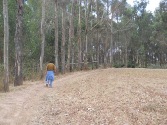 Cusco Sacsayhuam�n 13, the walk to "Zone X" (Laco, Moon Temple), walk 14