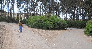 Cusco Sacsayhuamán 13, the walk to "Zone X" (Laco, Moon Temple), crossing, panorama Cusco Sacsayhuamán 13, the walk to "Zone X" (Laco, Moon Temple), crossing, panorama