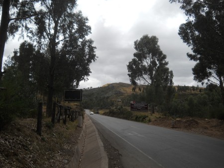 Cusco Sacsayhuam�n 13, the walk to "Zone X" (Laco, Moon Temple), street with trees