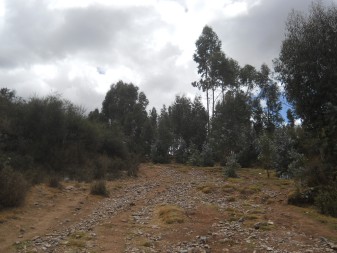 Cusco Sacsayhuam�n 13, der Spaziergang zur "Zone X" (Laco, Mondtempel): Spazierweg 09, nun wird der Weg breiter