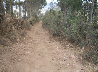Cusco Sacsayhuam�n 13, der Spaziergang zur "Zone X" (Laco, Mondtempel), Spazierweg 11 breit
