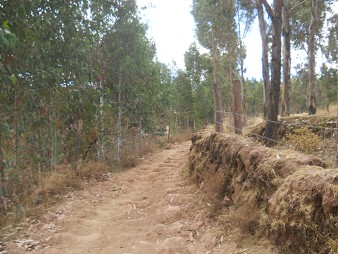 Cusco Sacsayhuam�n 13, der Spaziergang zur "Zone X" (Laco, Mondtempel), Spazierweg 12 breit