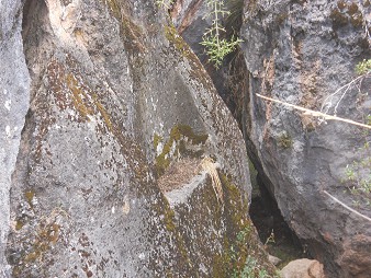 Zone X (Laq'o, Laco, Moon Temple): a black rock with a cut platform