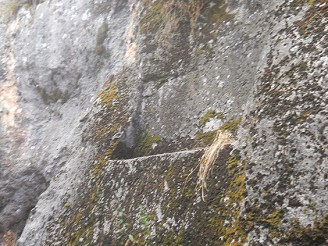 Zone X (Laq'o, Laco, Moon Temple): zoom of the platform