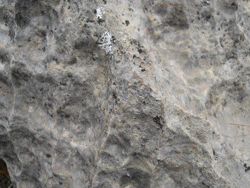 Cusco Sacsayhuam�n, Zone X (Laq'o, Laco, Moon Temple), a white milled stone, zoom 07