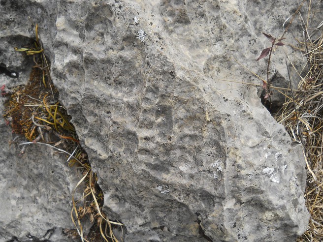 Piedra blanca fresada, primer plano 06