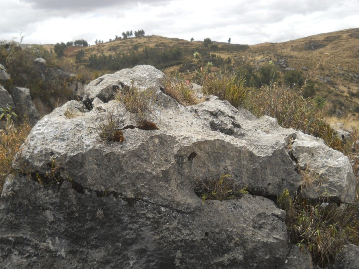 Cusco Sacsayhuam�n, Zona X (Laq'o / Laco): piedra roja negra fresada 02