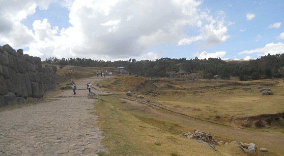 Cusco Sacsayhuam�n 16: El camino regreso a Cusco, pista con prado y bosque, panorama 01