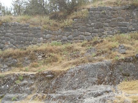 Cusco Sacsayhuam�n 16: El camino regreso a Cusco, muro gigante con un dise�o de flores 03