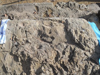 Cusco Sacsayhuam�n 16: El camino regreso a Cusco, piedra con dise�os 02