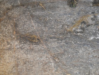 Cusco Sacsayhuamn 16: Der Weg zurck nach Cusco, gigantischer, weisser Stein mit Schnitten und Nischen - Nahaufnahme 01