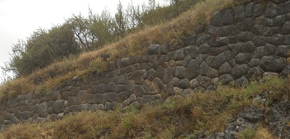 Cusco Sacsayhuam�n 16: Gigantische Mauer mit
              Blumenmustern