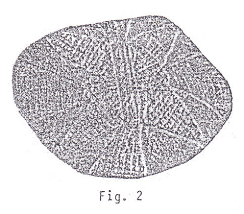 Piedra
                    grabada encontrada el 20 de agosto 1966 con una
                    estrella