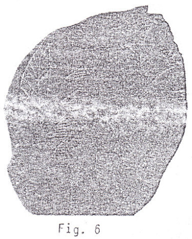 Piedra
                    grabada con un oso gigante