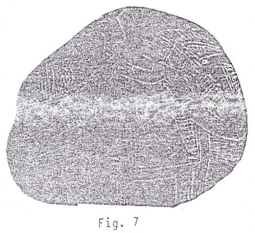 Piedra
                    grabada con camello-jirafa con hombre encima
