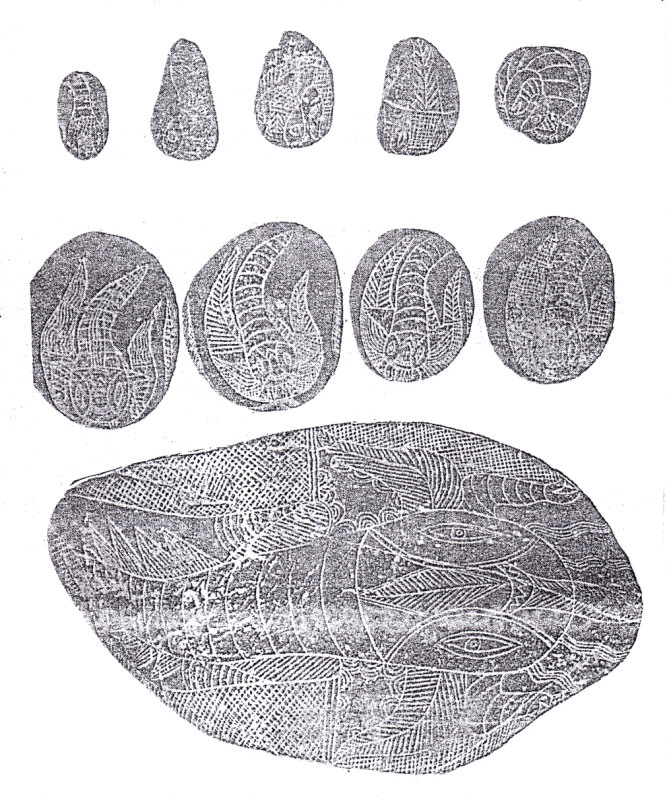 Piedras
                    grabadas con el ciclo del agnato