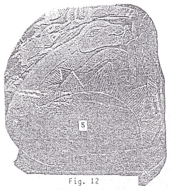 Piedra grabada con una hembra
                    de un estegosaurio