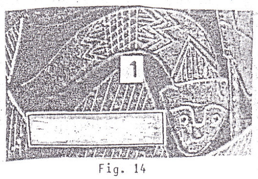 Piedra
grabada con una larva de un anfibio Piedra
grabada con una larva de un anfibio