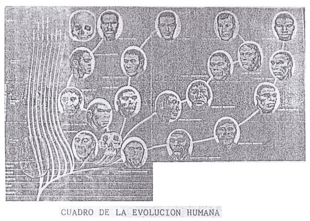 La teoría "cristiana" del
desarrollo de las razas humanas La teoría
"cristiana" del desarrollo de las razas
humanas