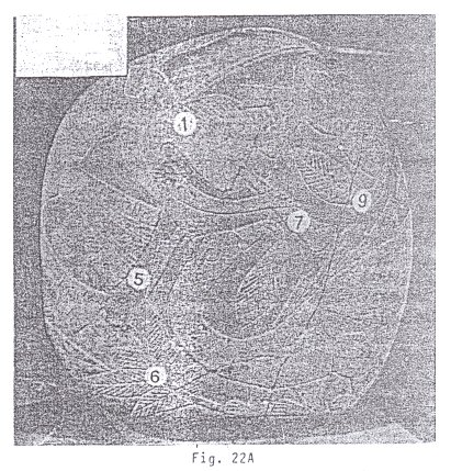 Fig.22A:
                                Estegosaurio con hombre en objeto
                                volador