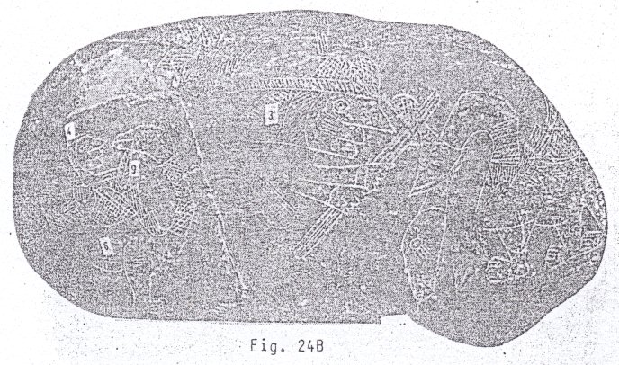 Fig. 24B: Hombre mata a dinosaurio
                paralizado