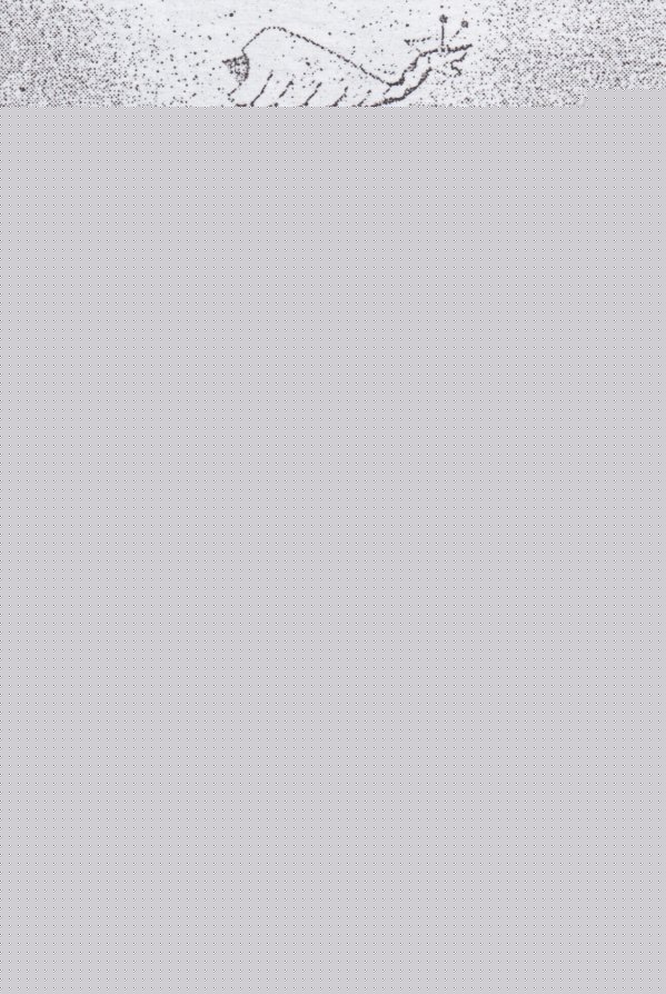 Cer�mica Mochica mostrando el
                                desarrollo de un estegosaurio