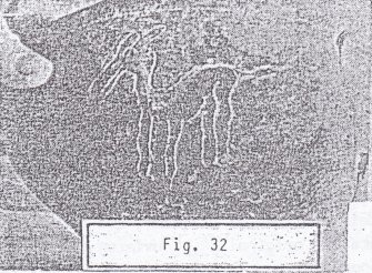 Fig. 32:
                                    Acambaro, piedra grabada [mostrando
                                    un animal prehist�rico]