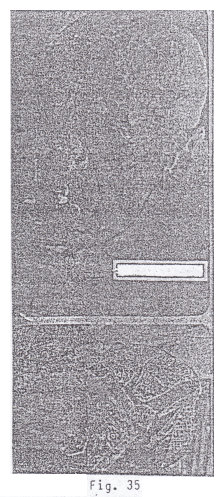 Fig. 35: El diario
                              "Mundial" presenta campesino con
                              piedra grabada falsa, detalle